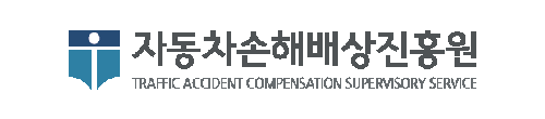 자동차손해배상진흥원